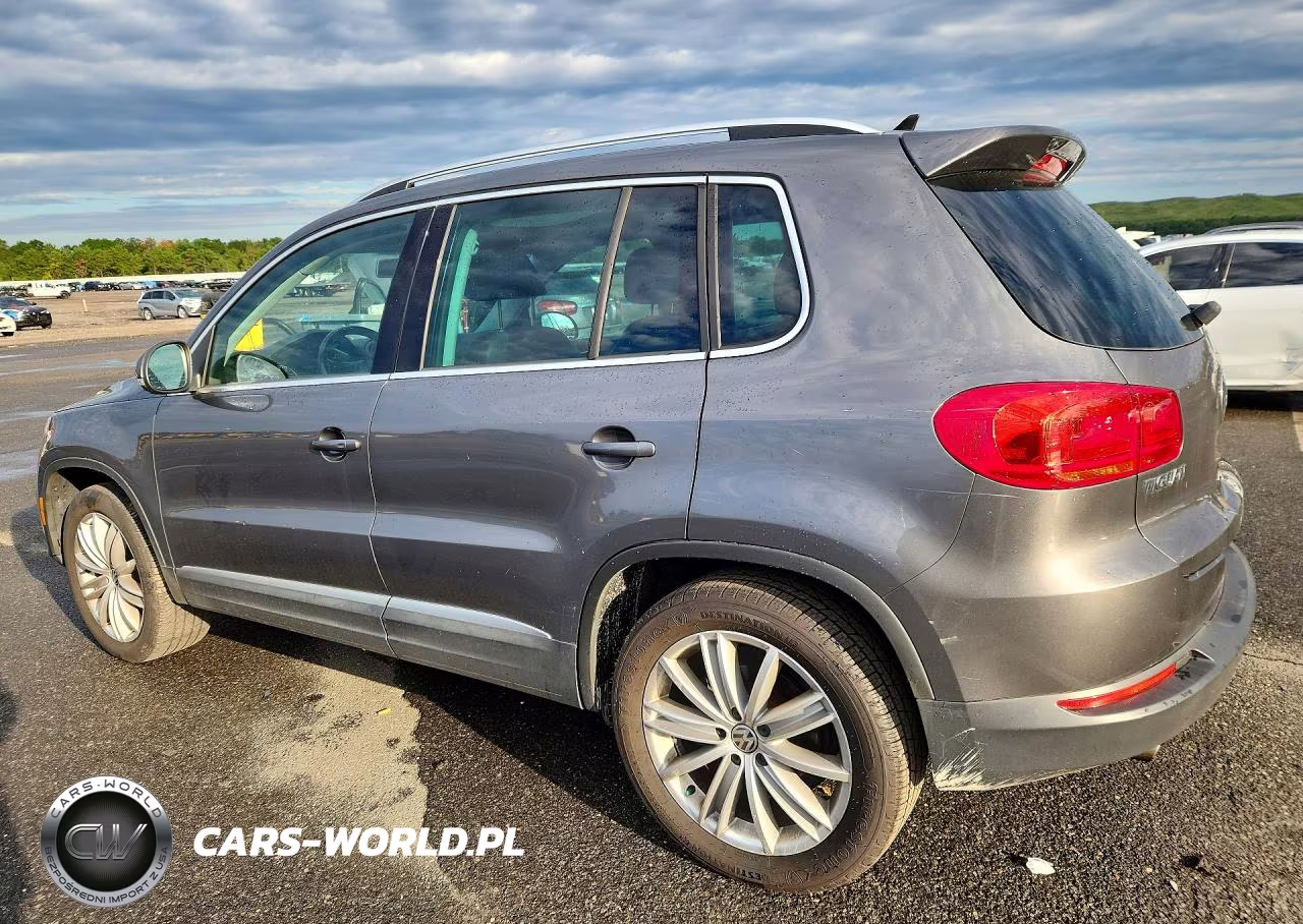 2014 Volkswagen Tiguan S VIN:WVGBV3AXXEW548336 - 2