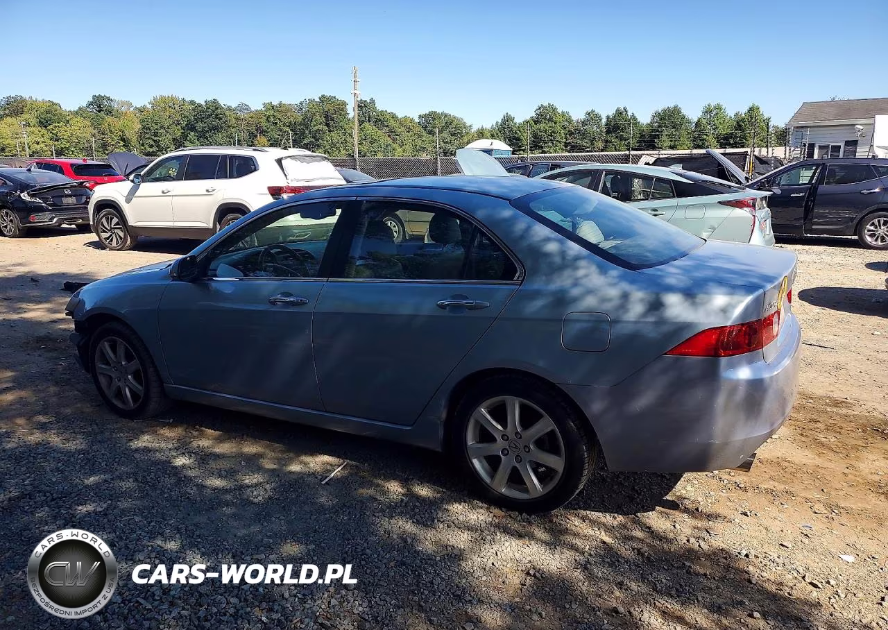 2004 Acura Tsx VIN:JH4CL96844C001306 - 2