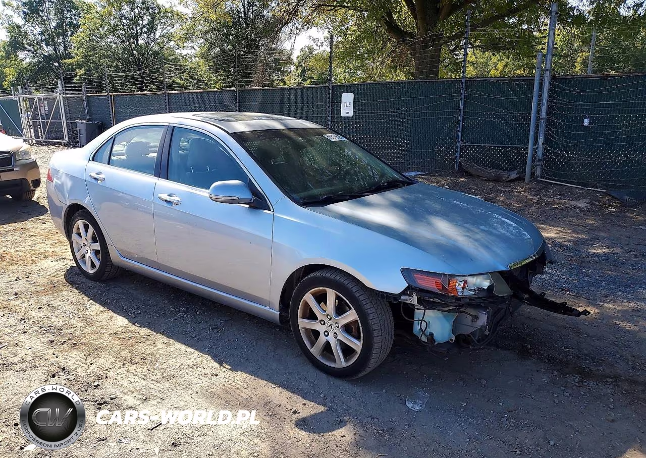 2004 Acura Tsx VIN:JH4CL96844C001306 - 4