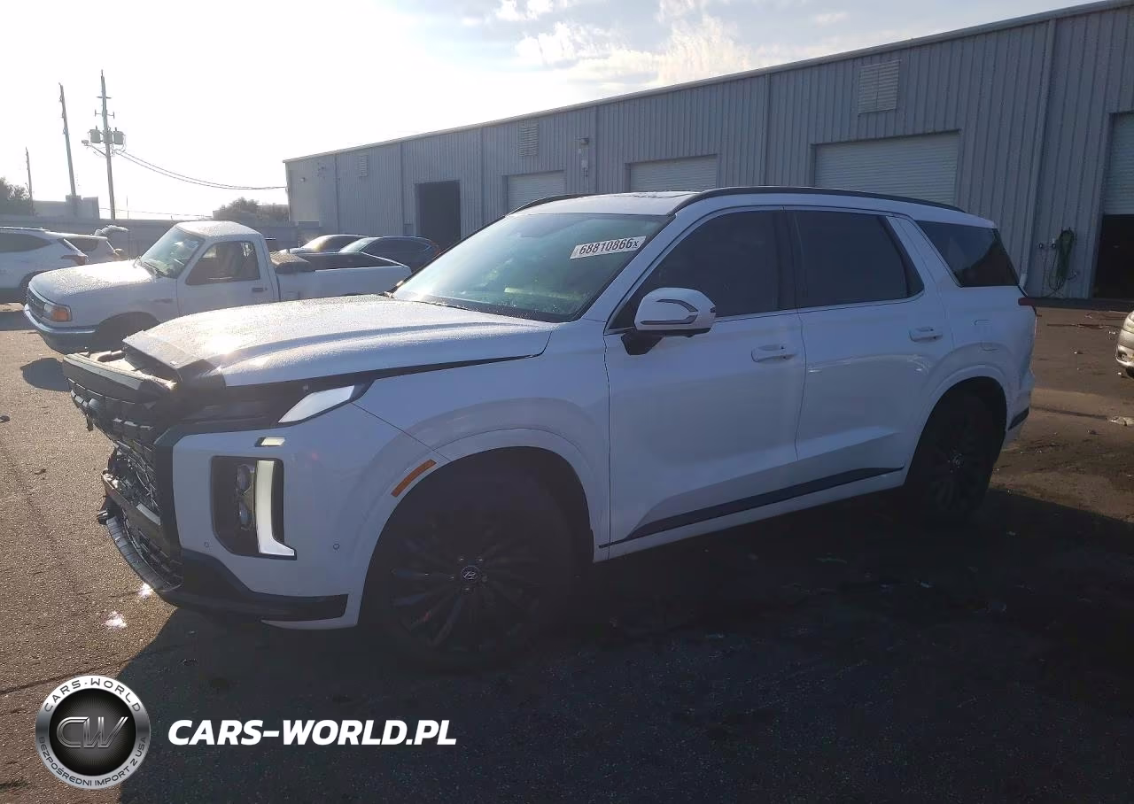 2025 Hyundai Palisade Calligraphy Night Edition VIN:KM8R7DGE2SU952937 - 1