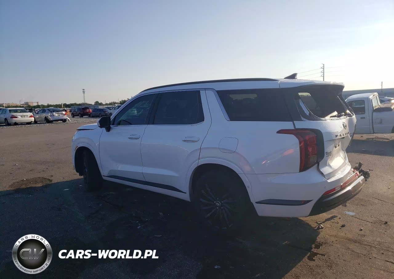 2025 Hyundai Palisade Calligraphy Night Edition VIN:KM8R7DGE2SU952937 - 2