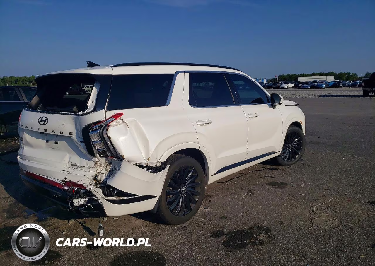 2025 Hyundai Palisade Calligraphy Night Edition VIN:KM8R7DGE2SU952937 - 3