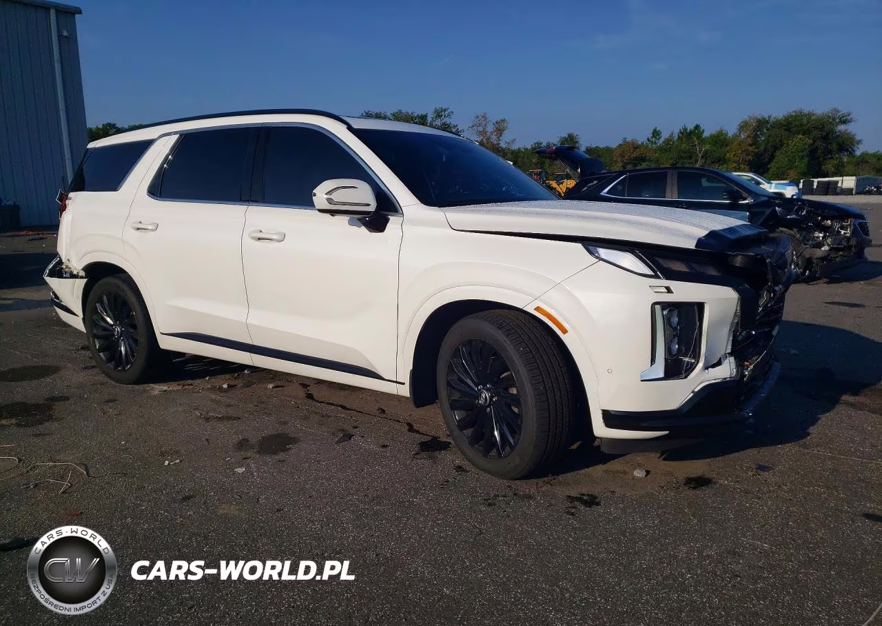 2025 Hyundai Palisade Calligraphy Night Edition VIN:KM8R7DGE2SU952937 - 4