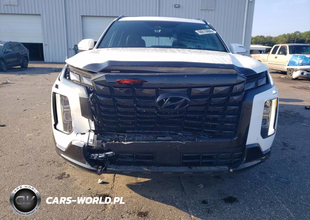 2025 Hyundai Palisade Calligraphy Night Edition VIN:KM8R7DGE2SU952937 - 5