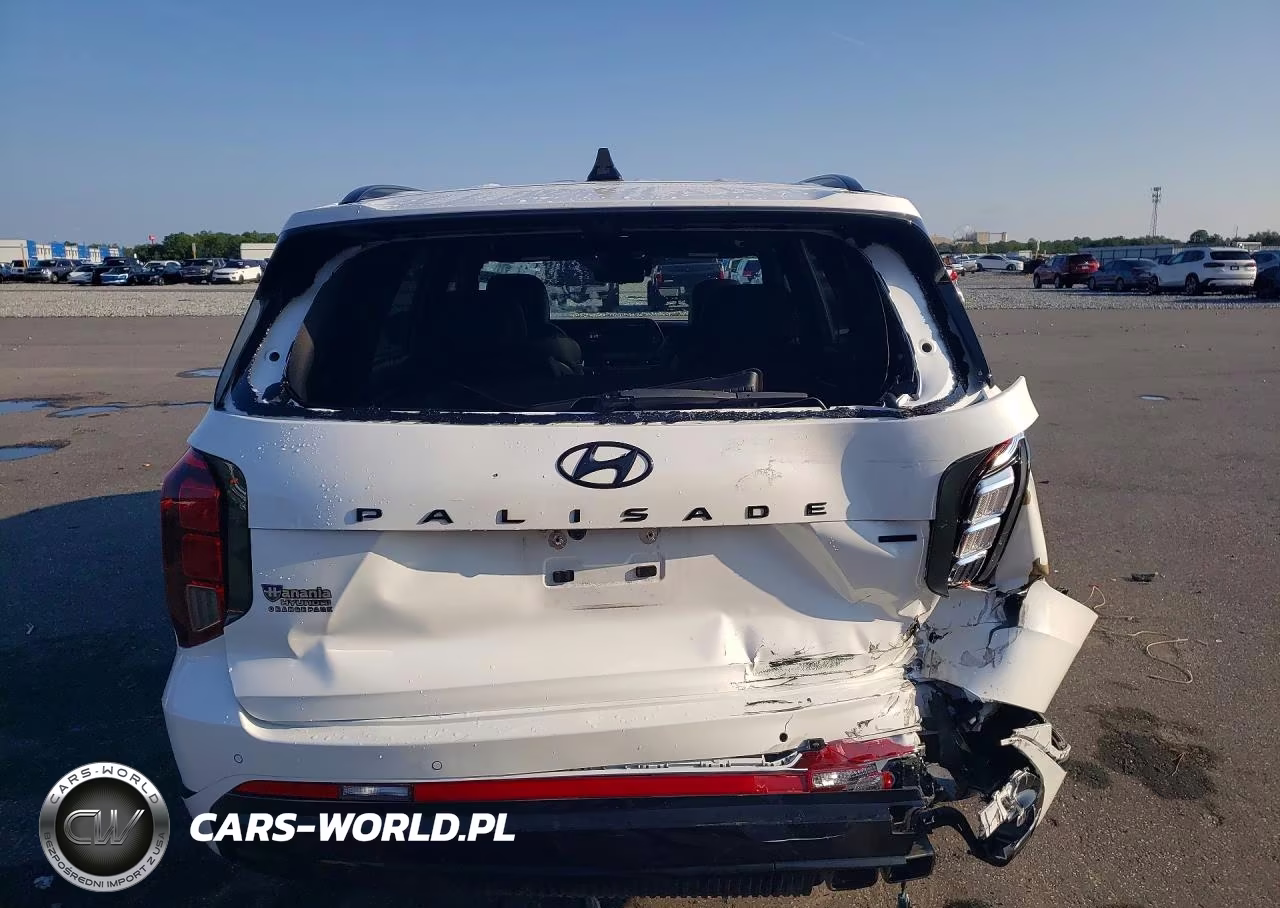 2025 Hyundai Palisade Calligraphy Night Edition VIN:KM8R7DGE2SU952937 - 6