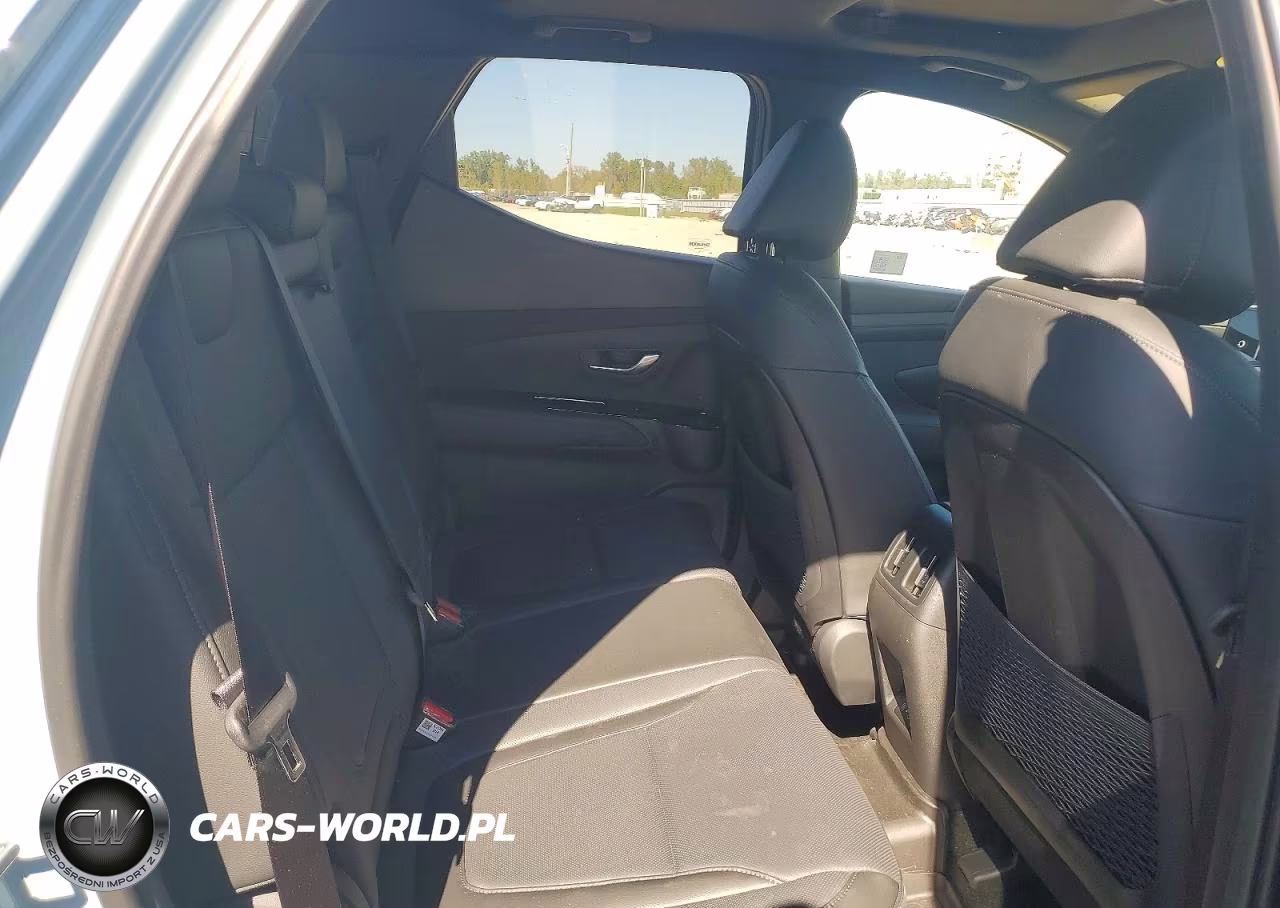 2025 Hyundai Santa Cruz Limited VIN:5NTJEDDF7SH146026 - 10