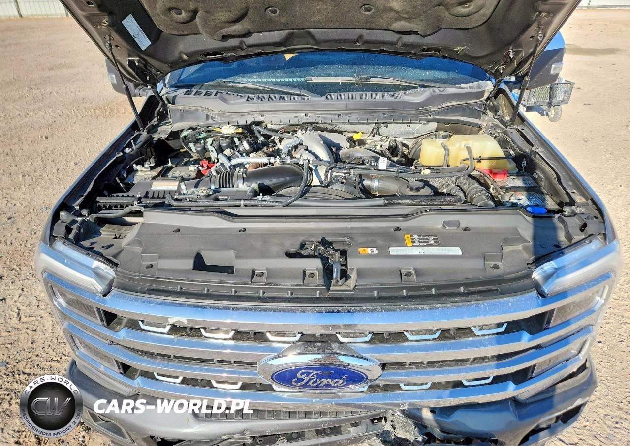 2023 Ford F250 Super Duty VIN:1FT8W2BT4PED09018 - 11
