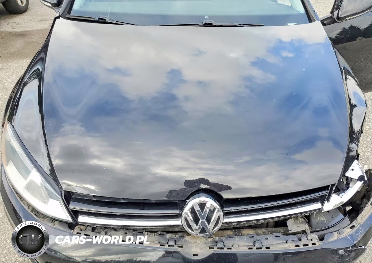 2017 Volkswagen Golf S VIN:3VW217AU3HM010110 - 12