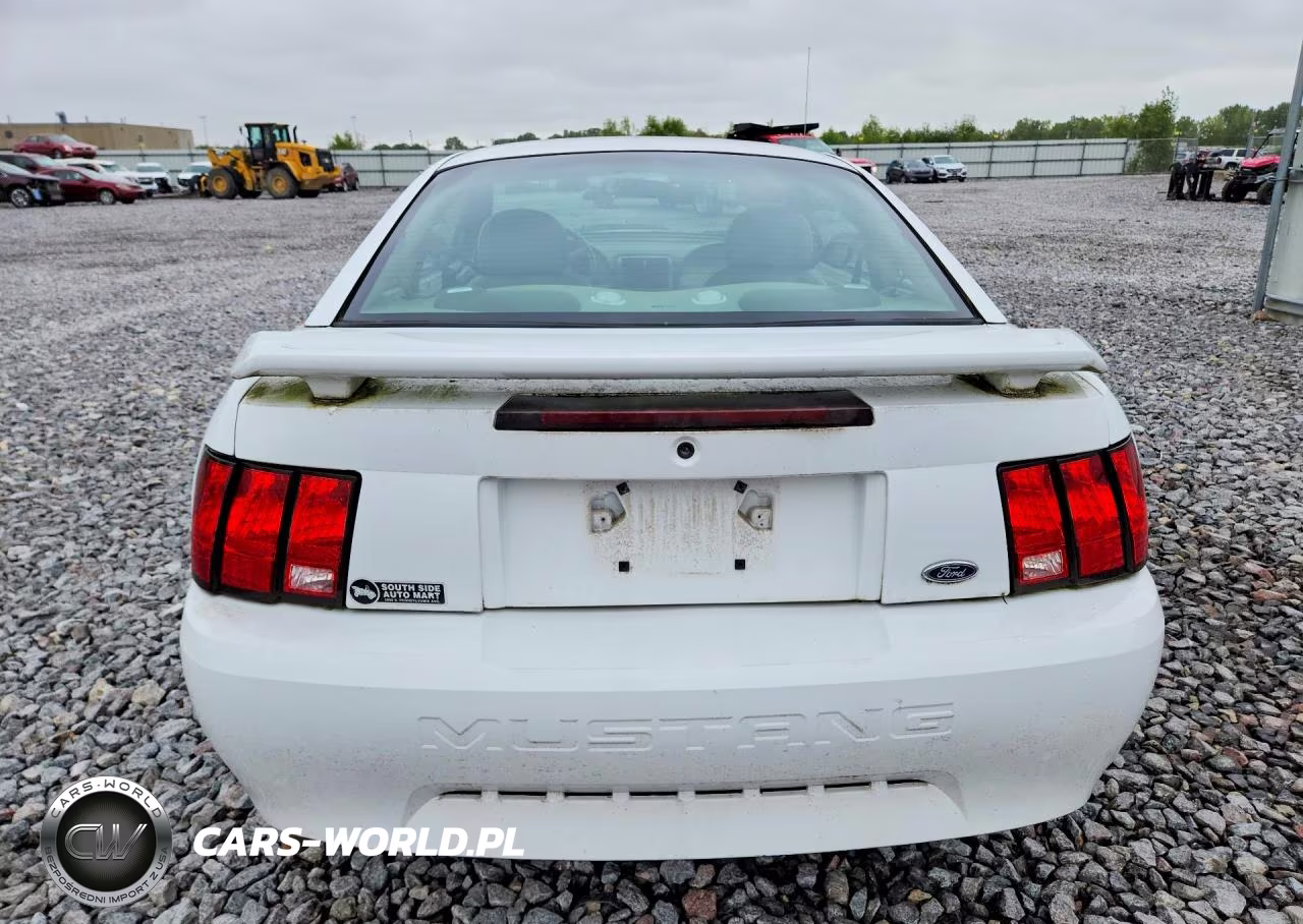 2004 Ford Mustang VIN:1FAFP40634F232246 - 6