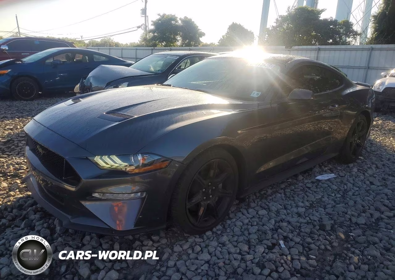 2020 Ford Mustang Gt VIN:1FA6P8CF4L5100202 - 1