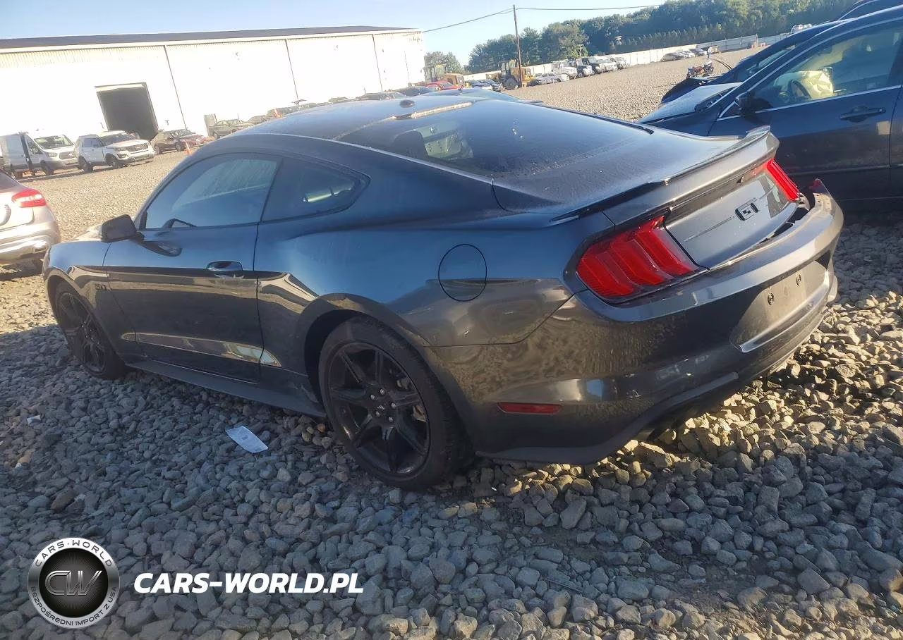 2020 Ford Mustang Gt VIN:1FA6P8CF4L5100202 - 2