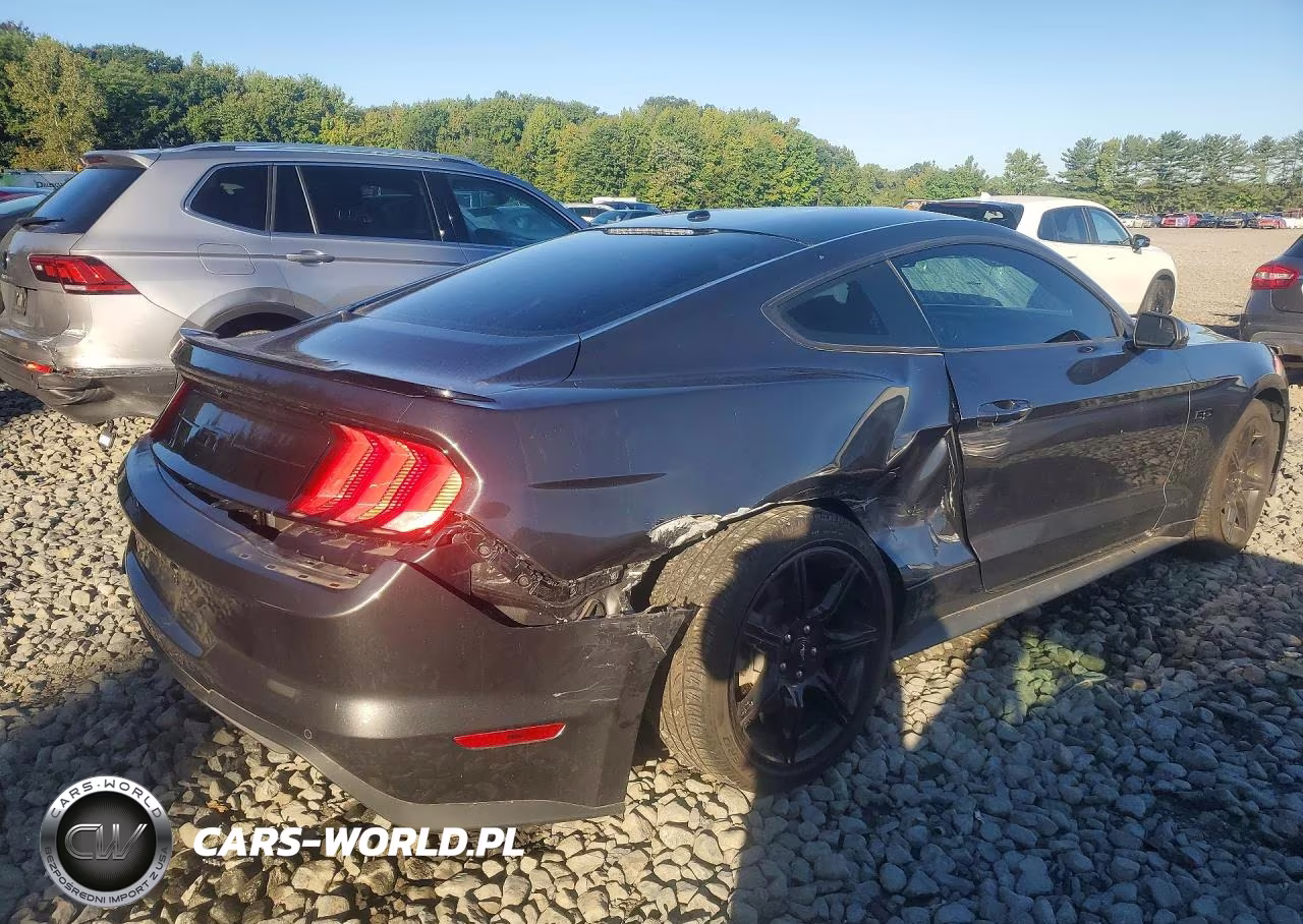 2020 Ford Mustang Gt VIN:1FA6P8CF4L5100202 - 3