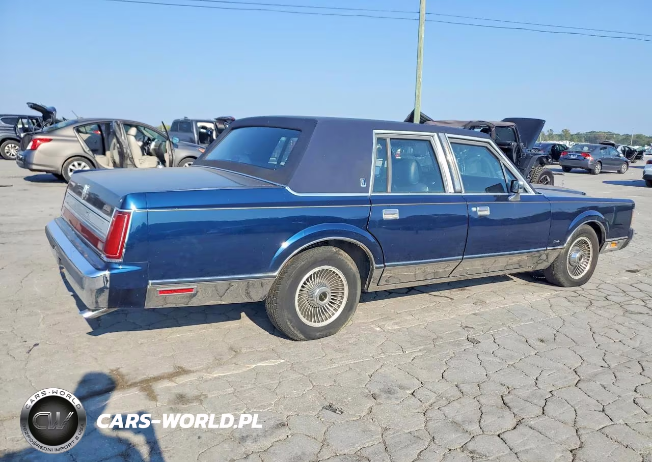 1989 Lincoln Town Car Signature Special VIN:1LNBM84F7KY727047 - 3