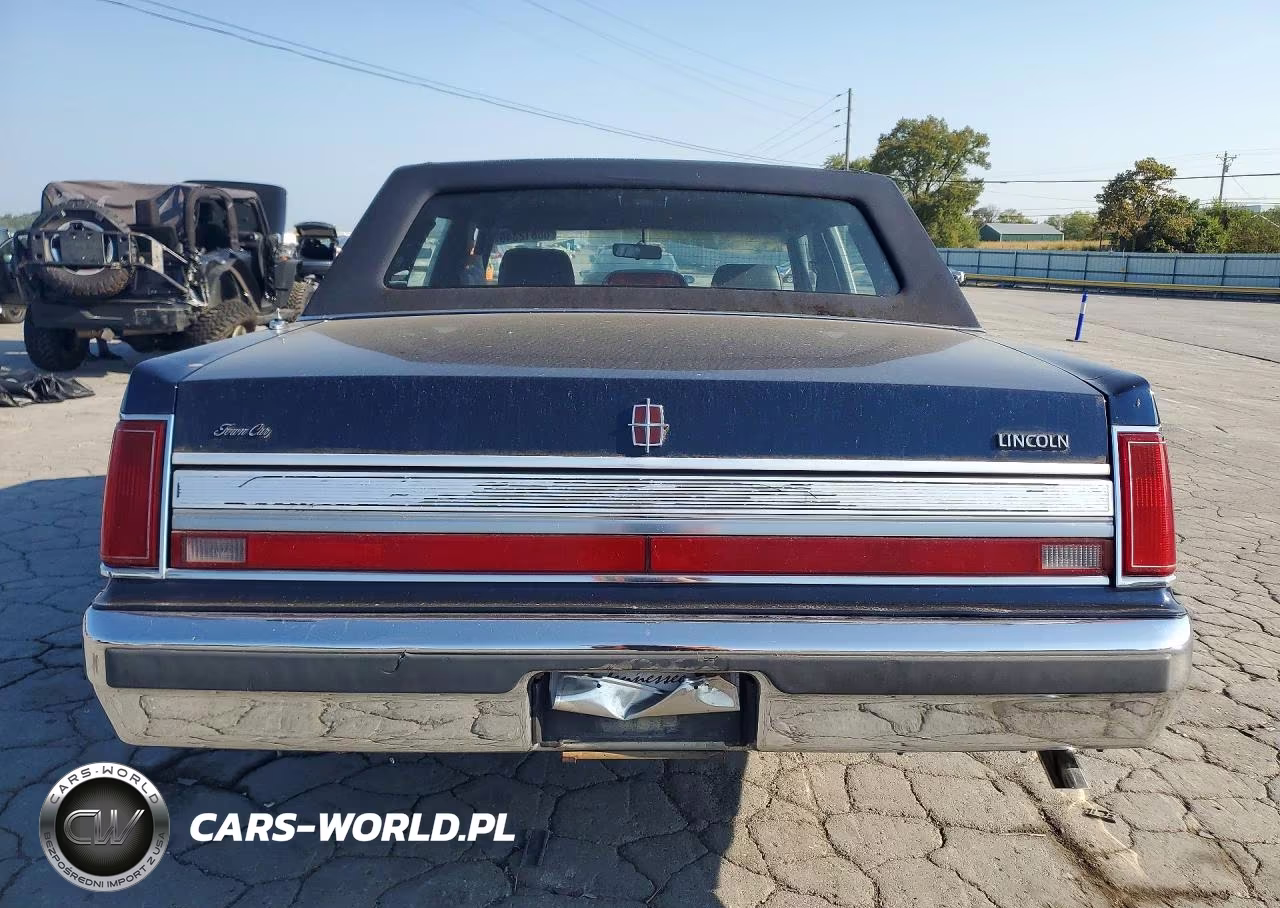 1989 Lincoln Town Car Signature Special VIN:1LNBM84F7KY727047 - 6