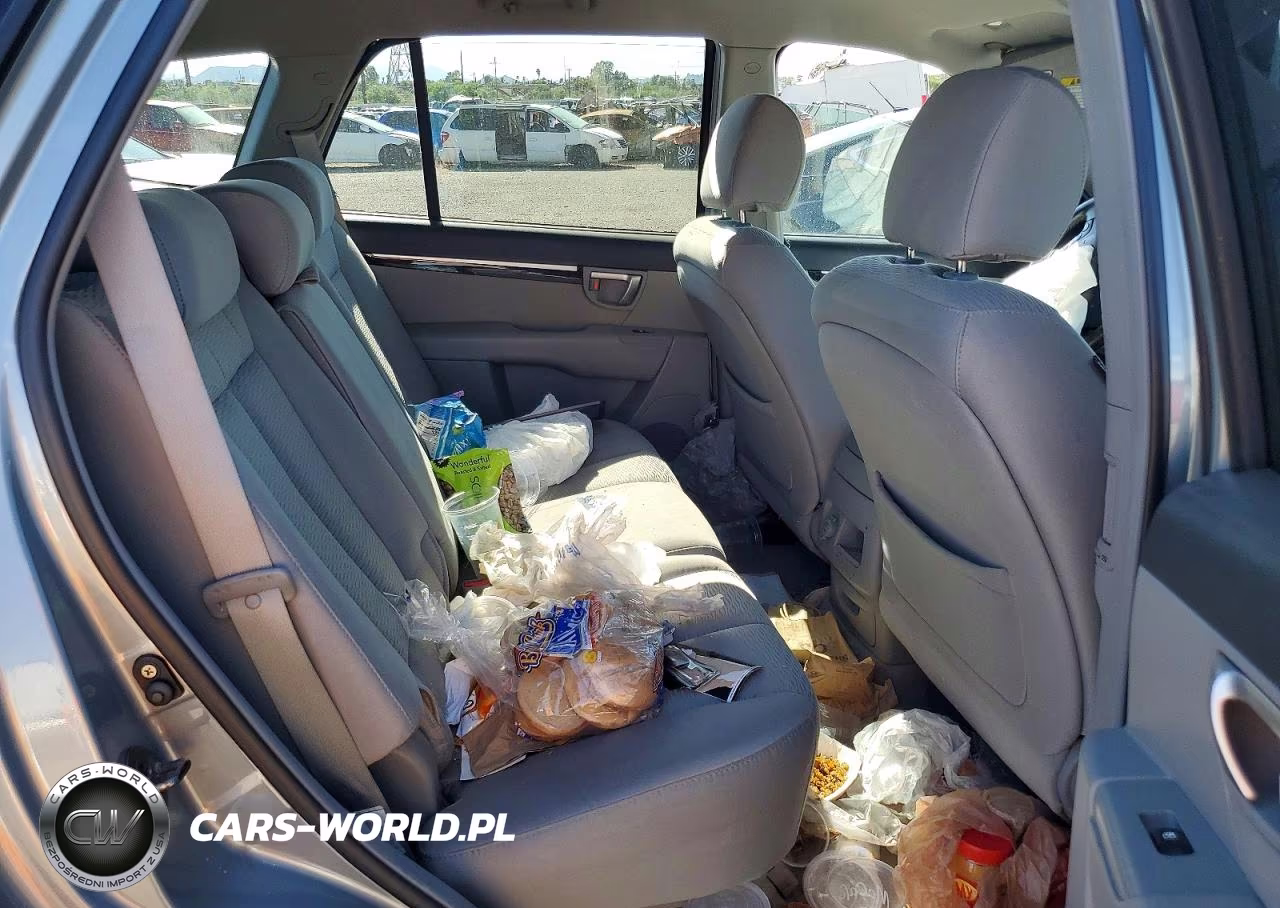 2007 Hyundai Santa Fe Se VIN:5NMSH13E27H098635 - 10