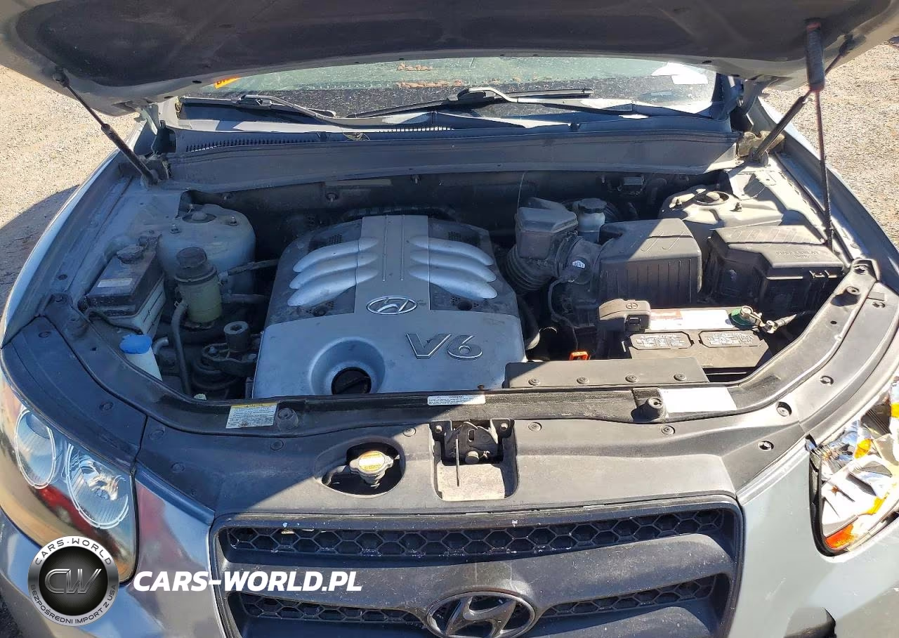 2007 Hyundai Santa Fe Se VIN:5NMSH13E27H098635 - 11