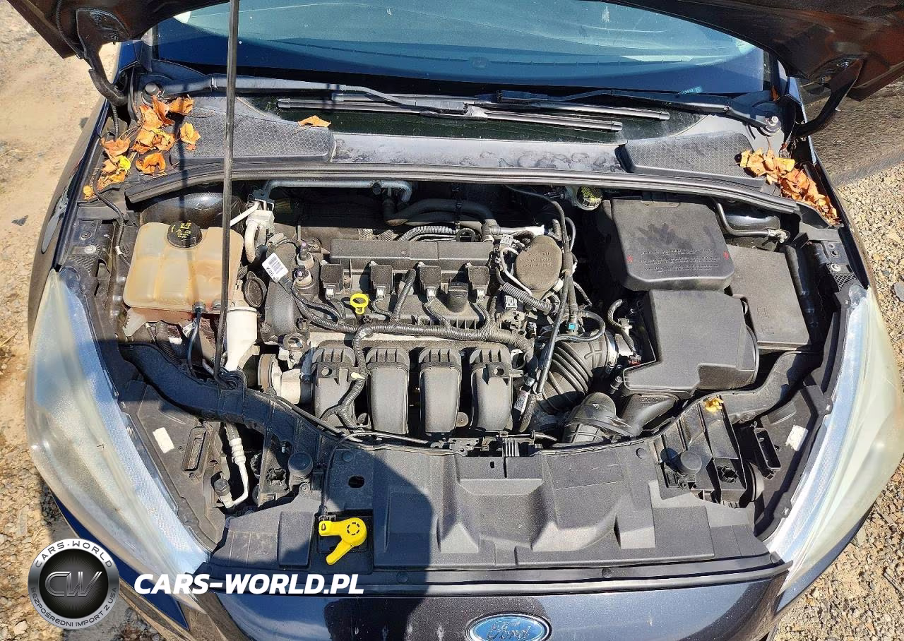 2015 Ford Focus Se VIN:1FADP3F28FL216182 - 11