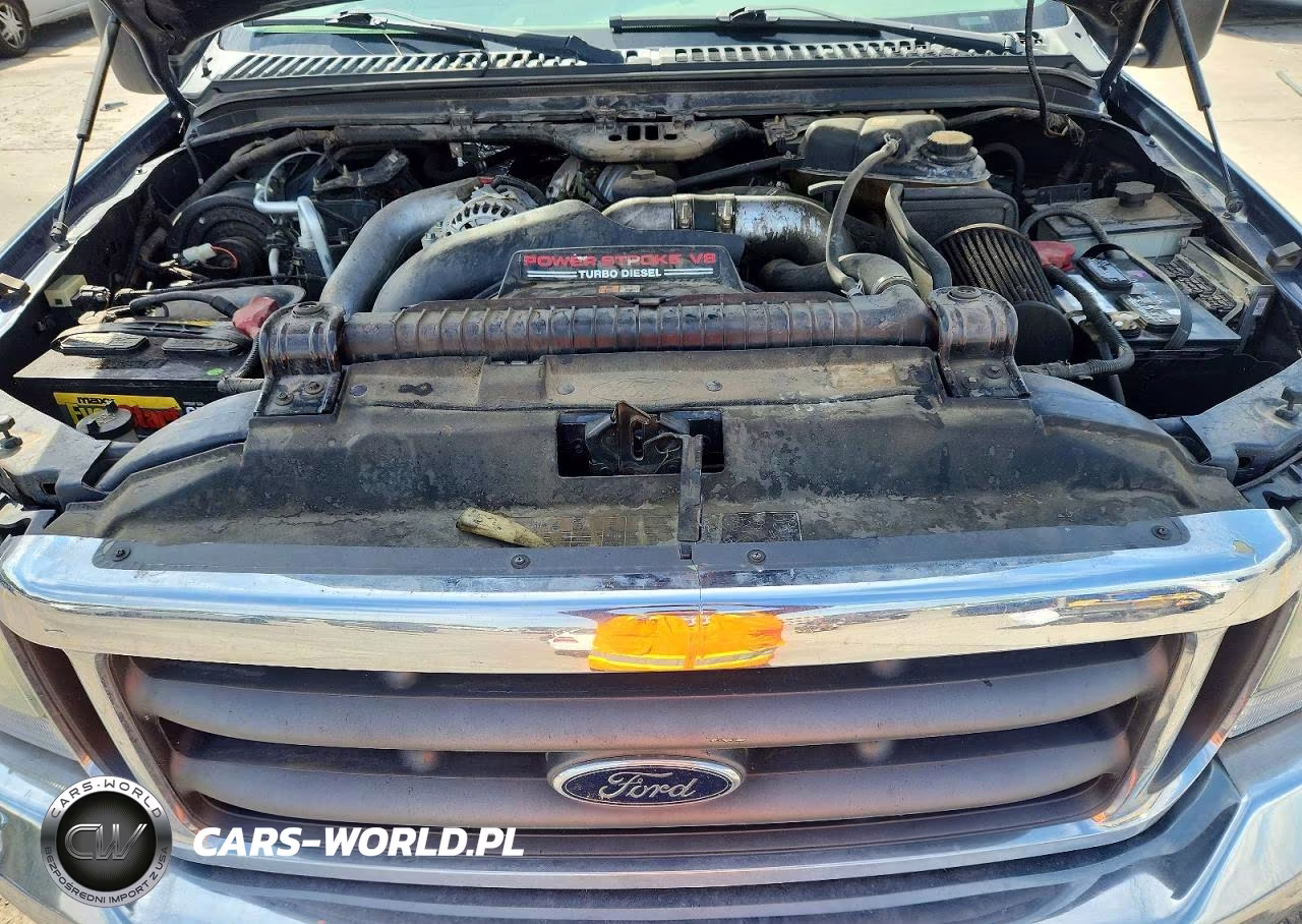 2004 Ford F250 Super Duty VIN:1FTNX21P34EC33310 - 11