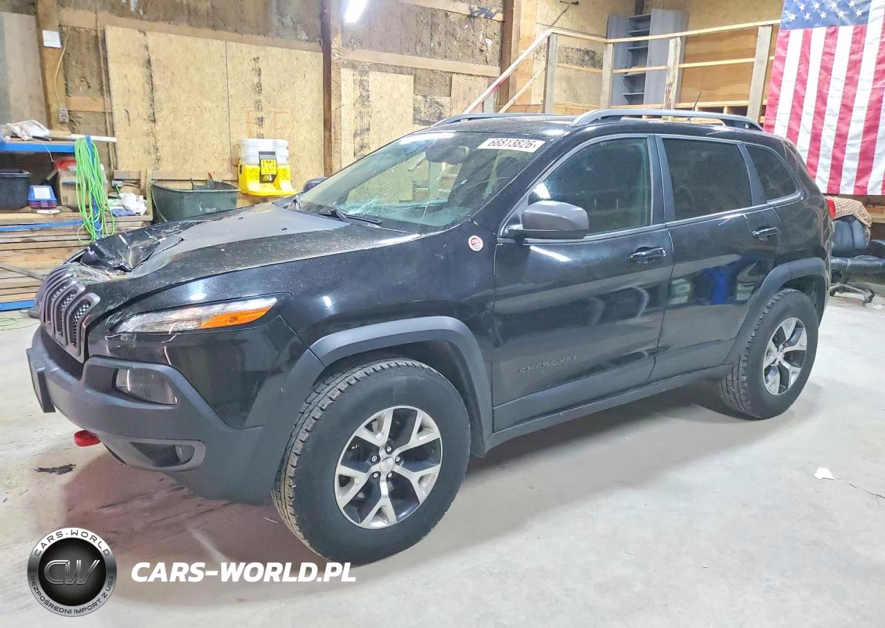 2017 Jeep Cherokee Trailhawk VIN:1C4PJMBS9HW542739 - 1