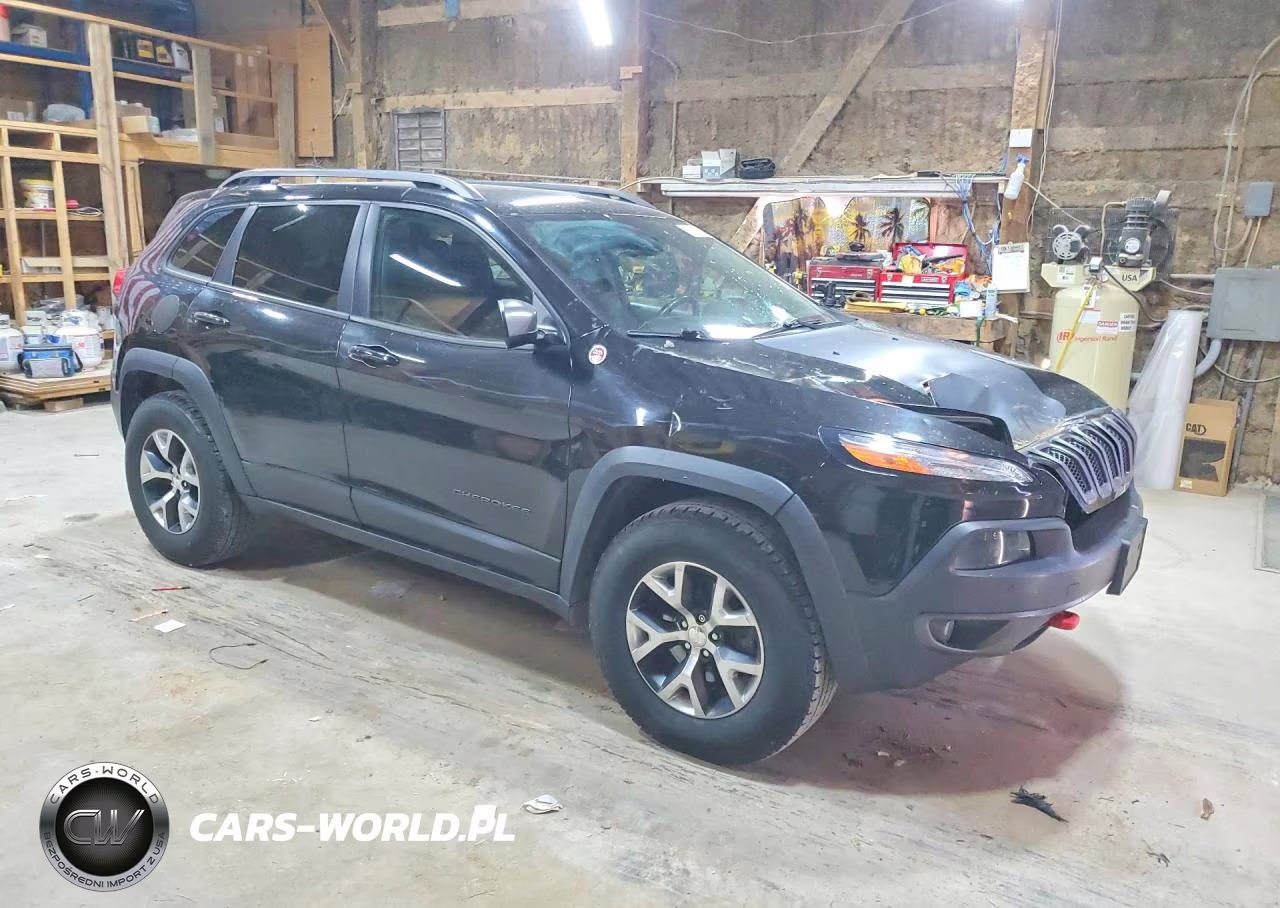 2017 Jeep Cherokee Trailhawk VIN:1C4PJMBS9HW542739 - 4