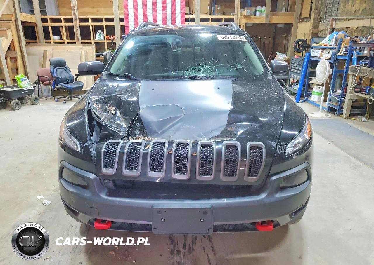 2017 Jeep Cherokee Trailhawk VIN:1C4PJMBS9HW542739 - 5