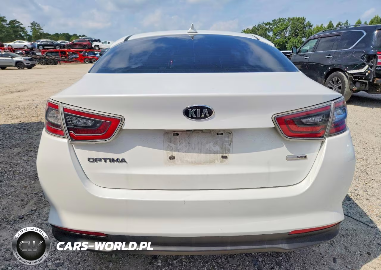 2015 Kia Optima Hybrid VIN:KNAGM4AD4F5087096 - 6