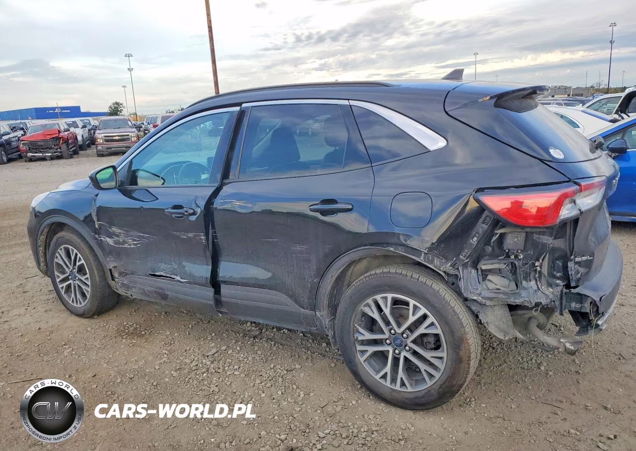 2020 Ford Escape Sel VIN:1FMCU9H6XLUB89554 - 2