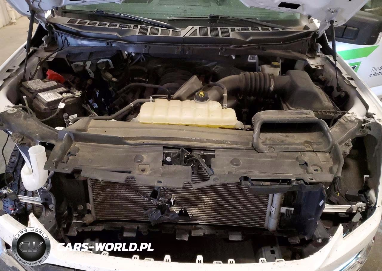 2023 Ford F150 Supercrew VIN:1FTFW1E5XPFD02339 - 11