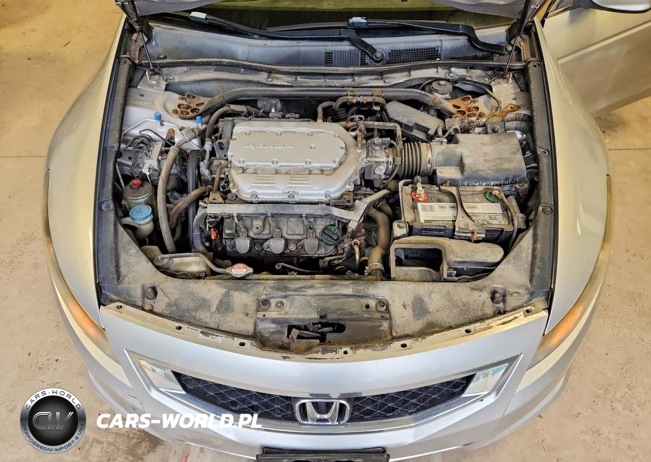 2010 Honda Accord Exl VIN:1HGCS2B83AA009780 - 11