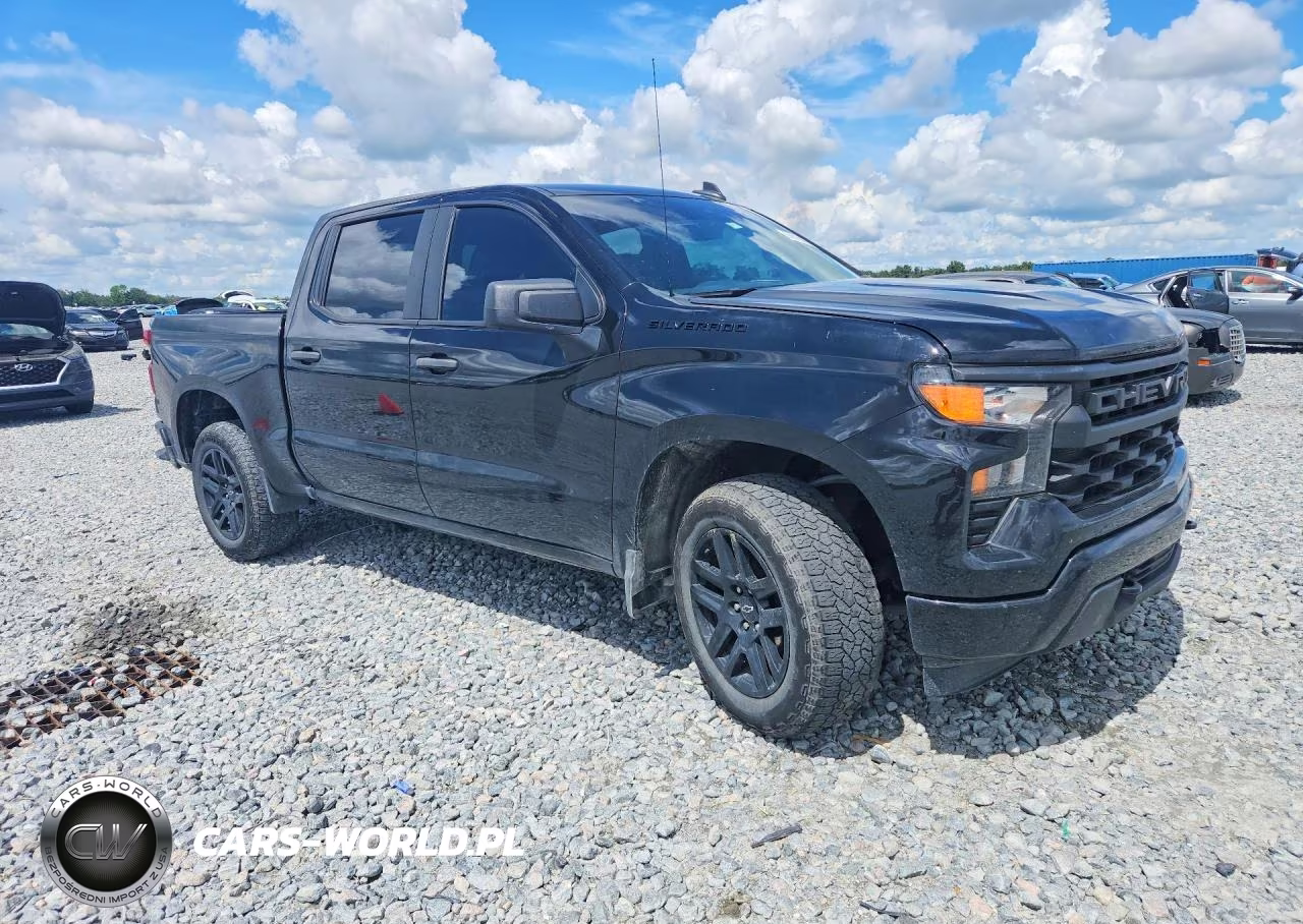 2024 Chevrolet Silverado C1500 Custom VIN:1GCPABEK6RZ231575 - 4