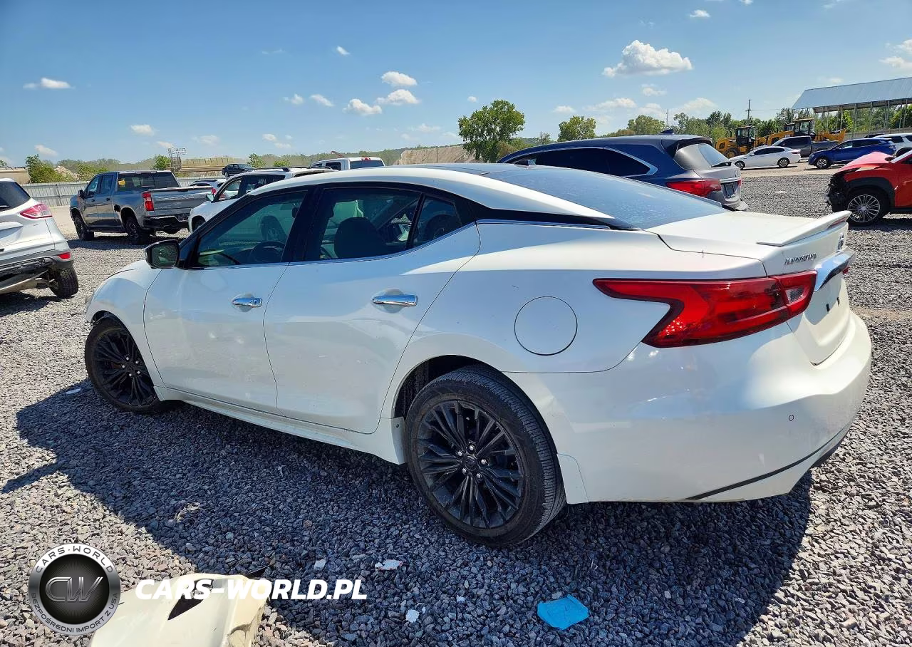 2016 Nissan Maxima Platinum VIN:1N4AA6AP2GC438601 - 2