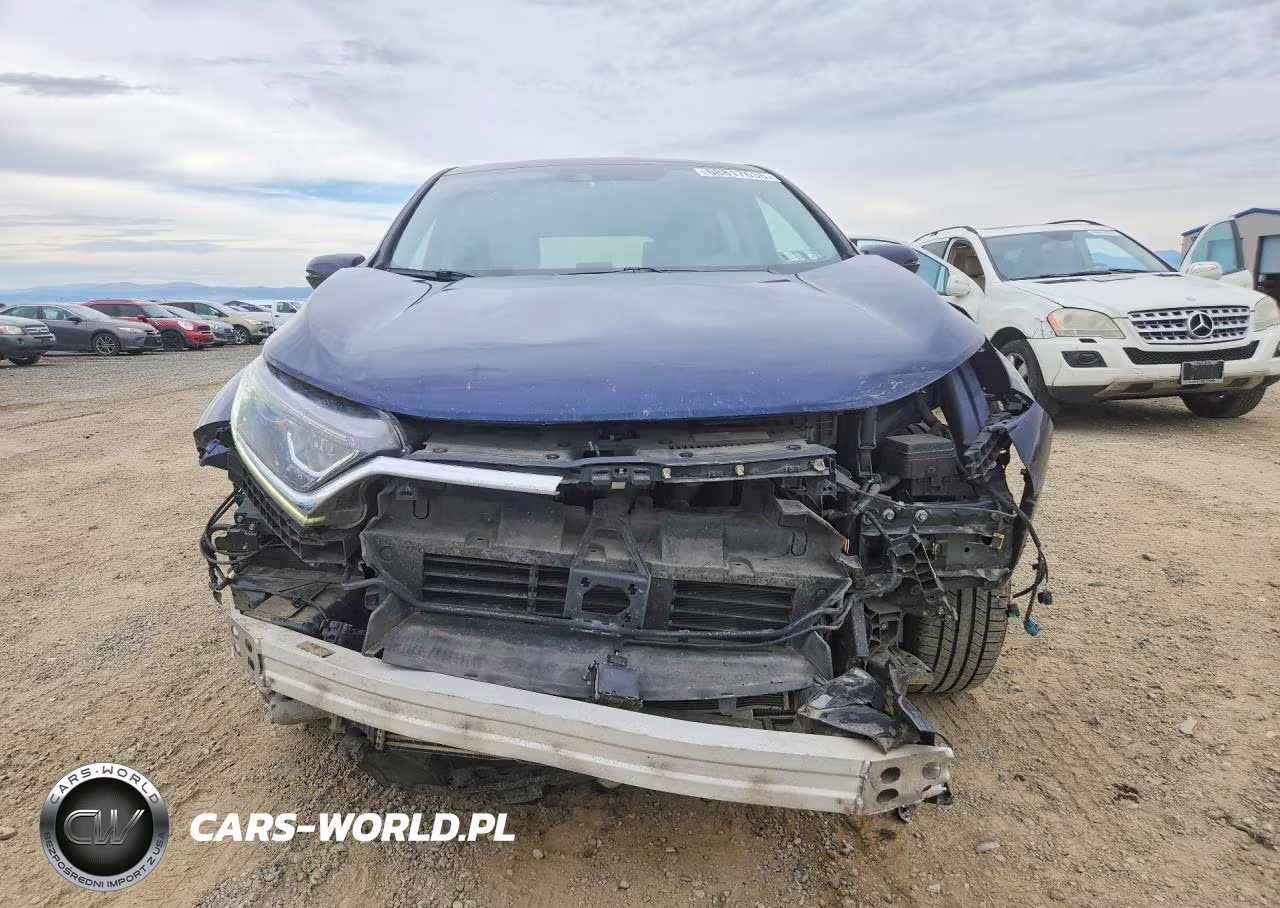 2019 Honda Cr-V Exl VIN:7FARW2H85KE041664 - 5