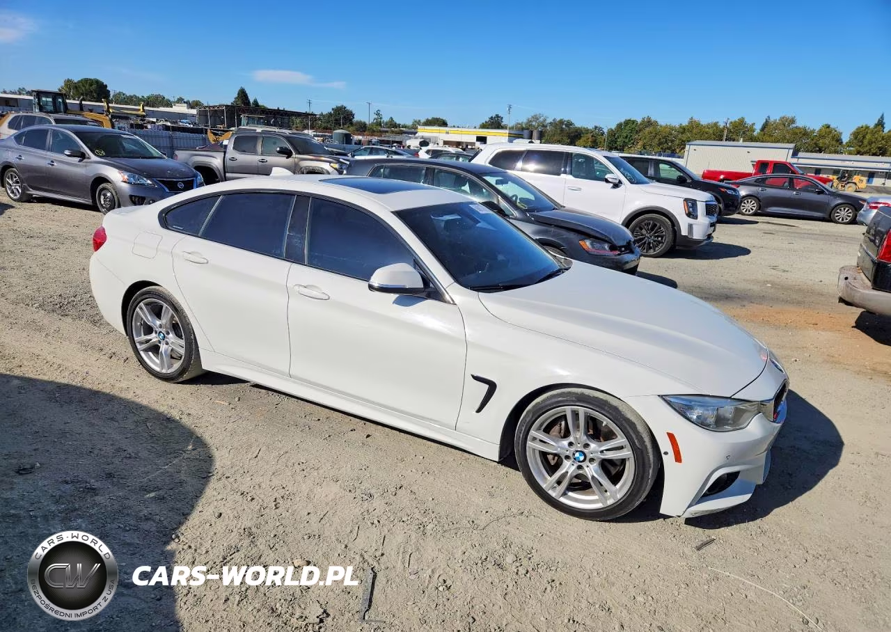 2016 BMW 428 I Gran Coupe Sulev VIN:WBA4A9C5XGG507237 - 4