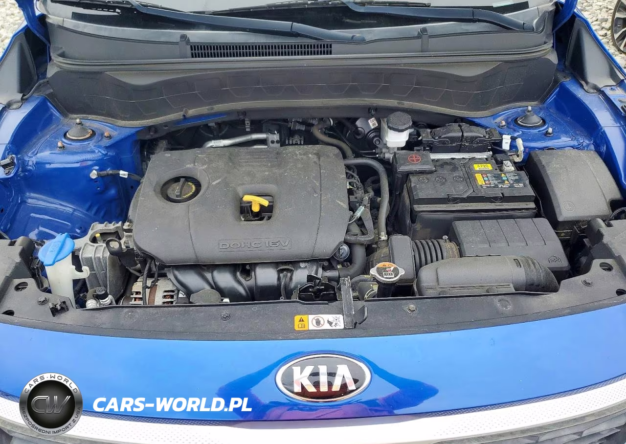 2021 Kia Seltos S VIN:KNDEUCAA3M7101789 - 12