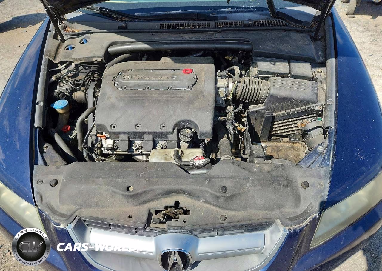 2006 Acura 3.2Tl VIN:19UUA66226A073806 - 11