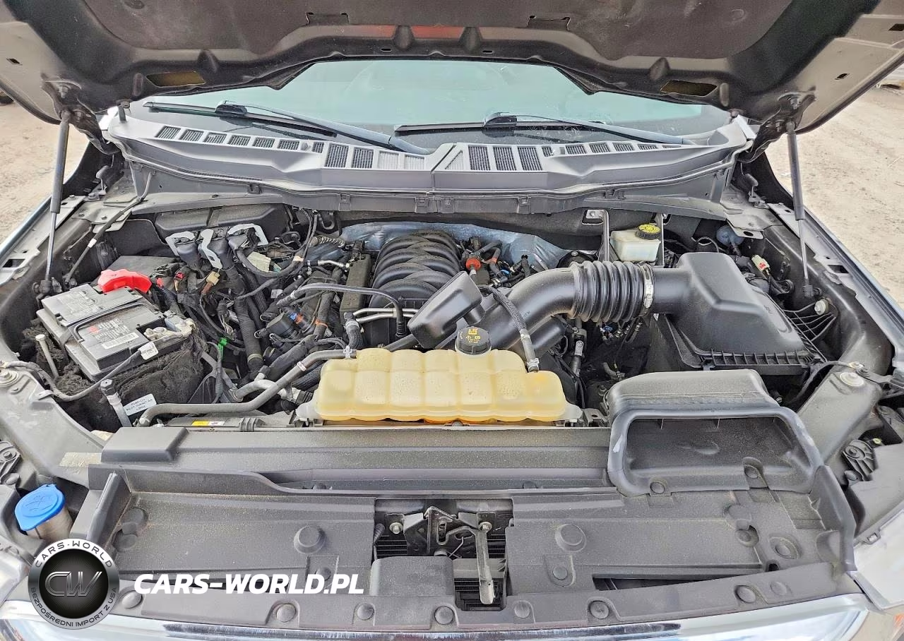 2022 Ford F150 VIN:1FTMF1E5XNKE46372 - 11
