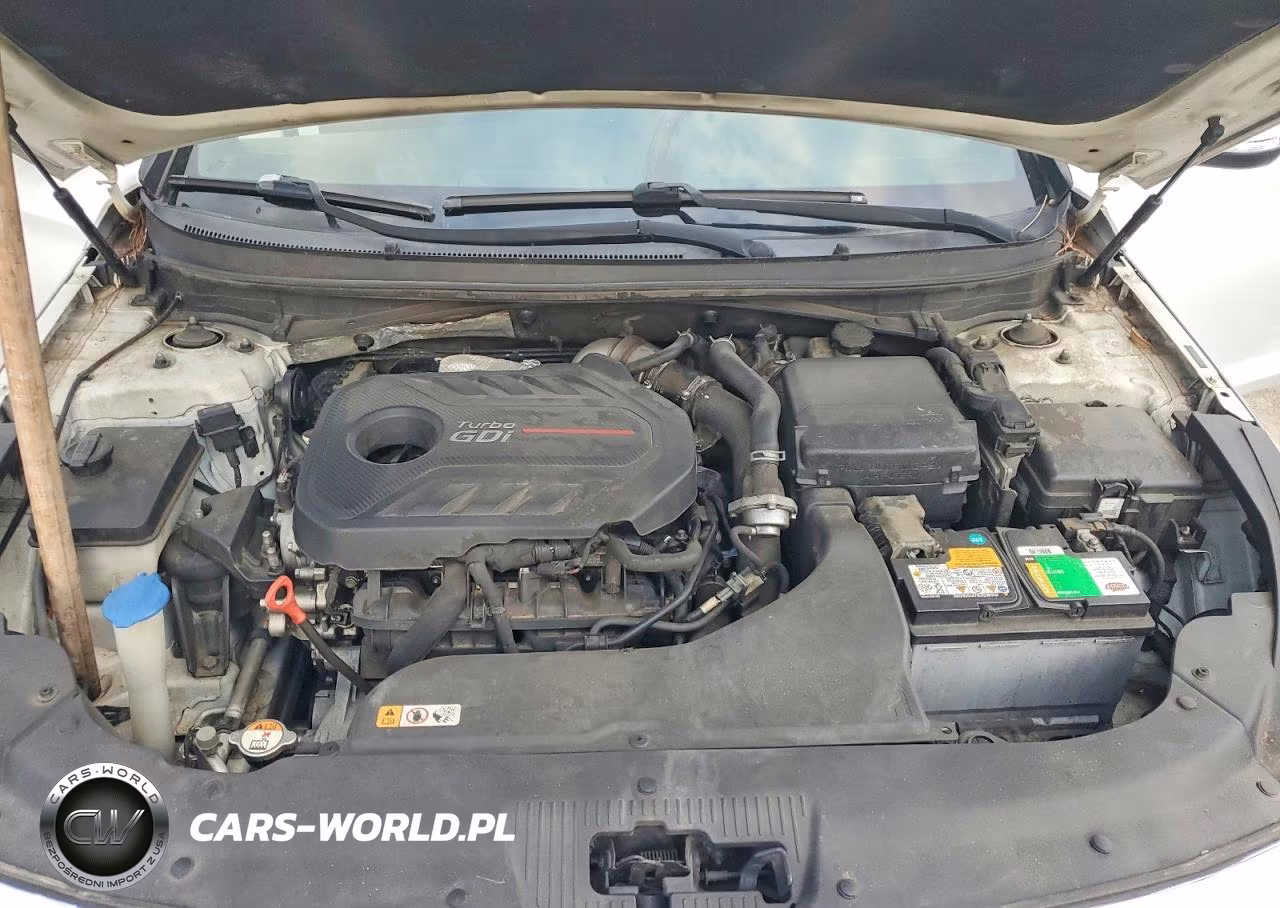2017 Hyundai Sonata Sport 2.0T VIN:5NPE34AB5HH511805 - 11