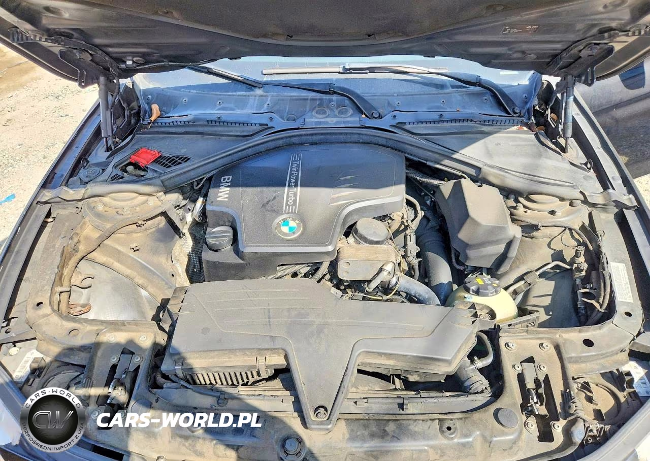 2016 BMW 320 I VIN:WBA8A9C59GK616156 - 11