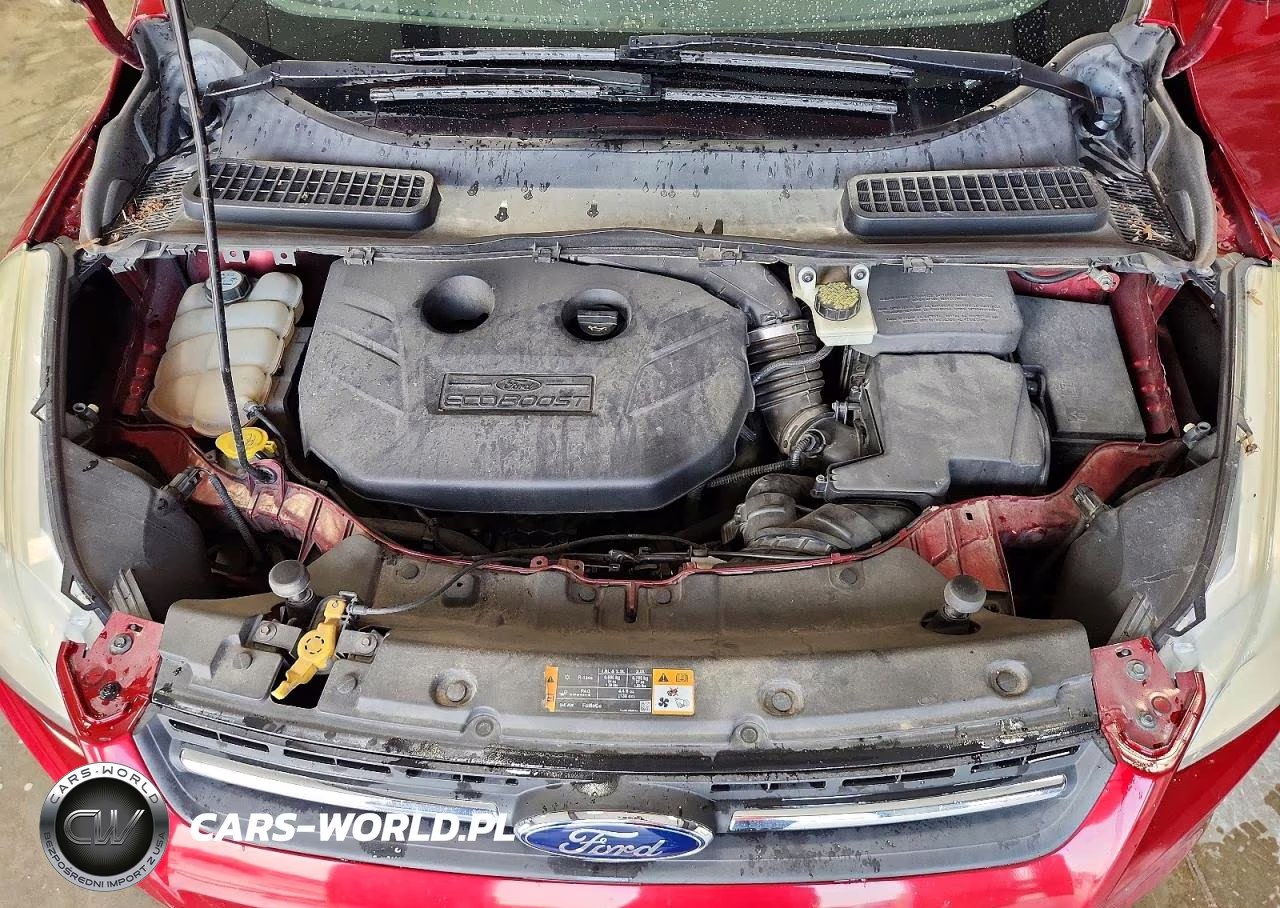 2014 Ford Escape Se VIN:1FMCU0G98EUA04265 - 11