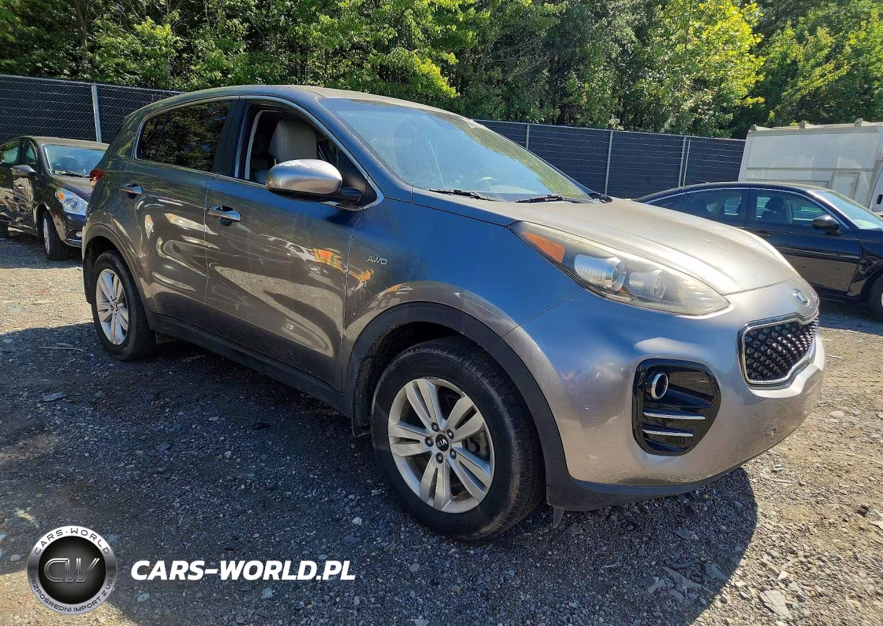 2017 Kia Sportage Lx VIN:KNDPMCAC8H7139230 - 4