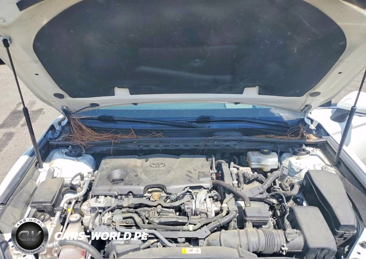 2020 Toyota Camry Xle VIN:4T1F31AK9LU009344 - 11