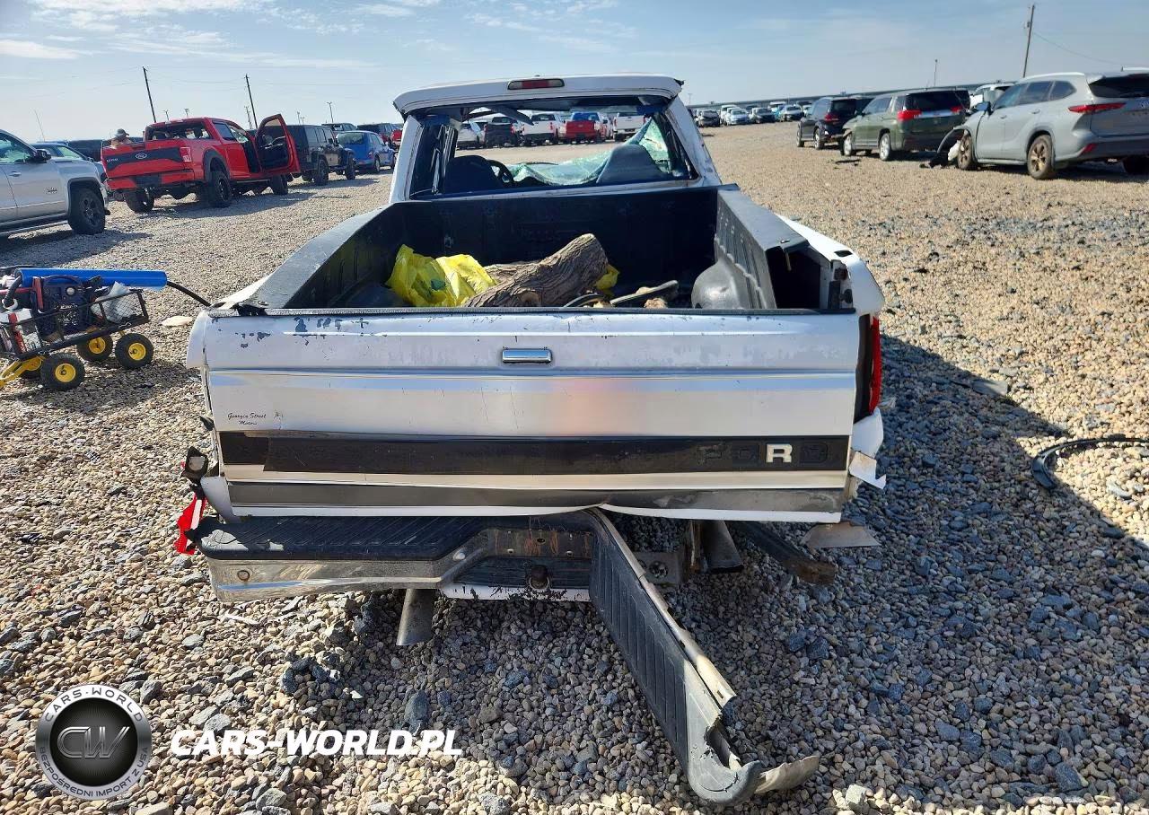 1994 Ford F150 VIN:1FTEX15N5RKB35200 - 6
