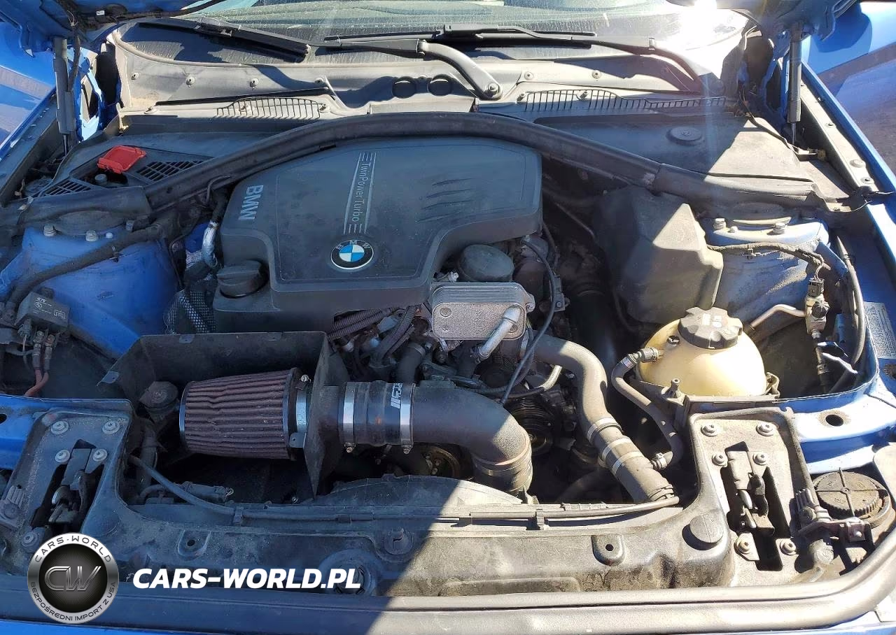 2015 BMW 228 Xi Sulev VIN:WBA1G9C50FVX96804 - 11
