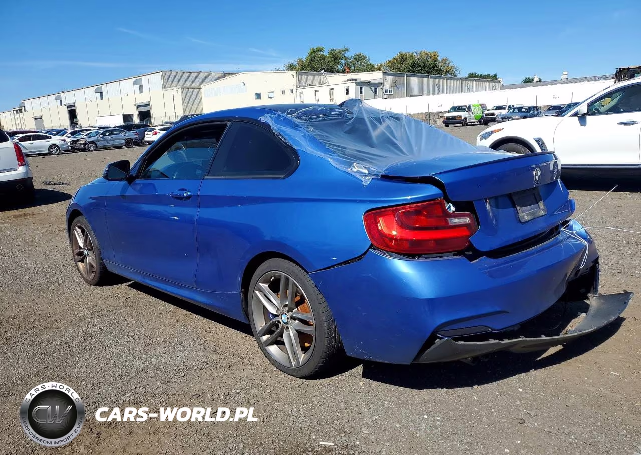 2015 BMW 228 Xi Sulev VIN:WBA1G9C50FVX96804 - 2