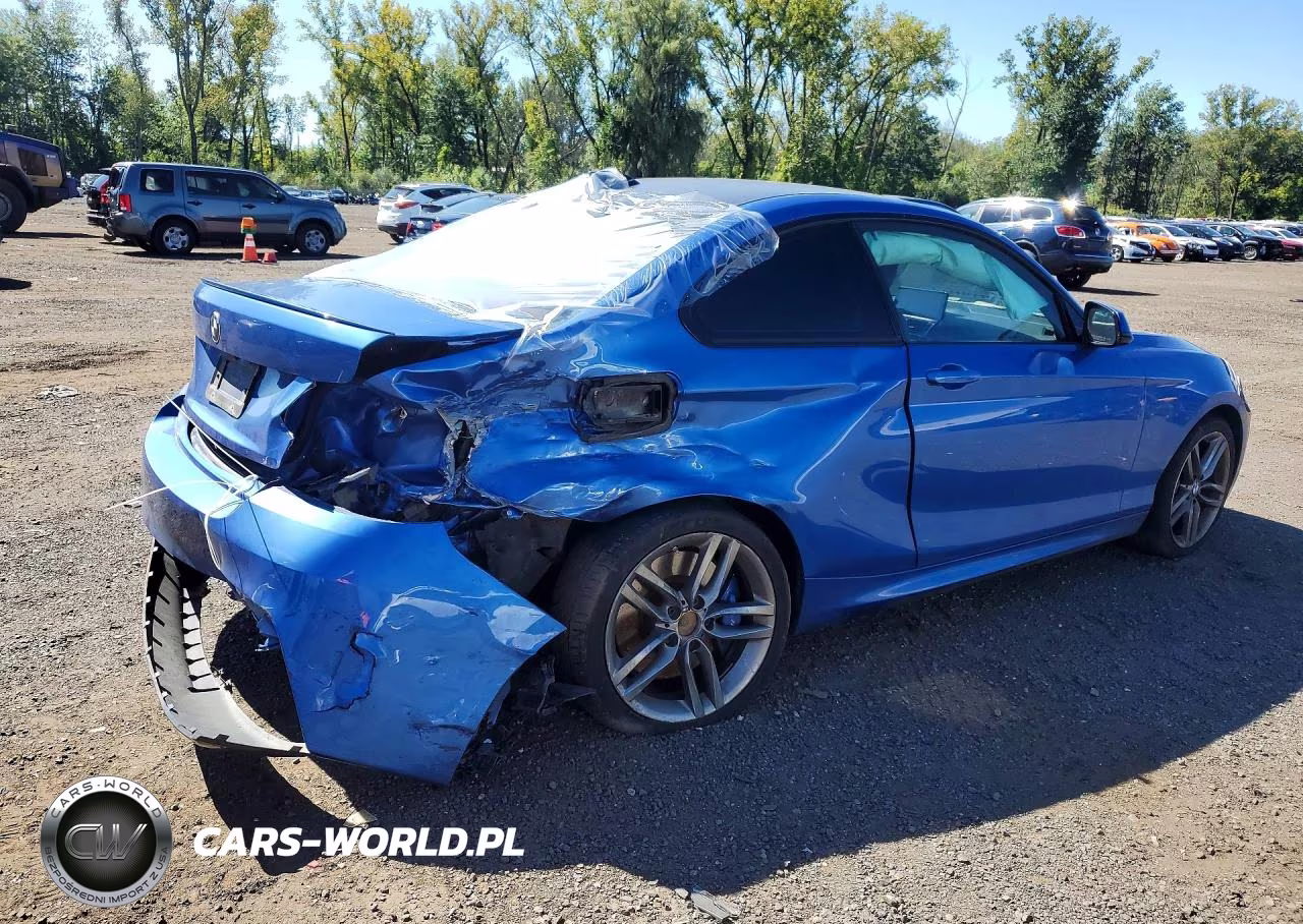 2015 BMW 228 Xi Sulev VIN:WBA1G9C50FVX96804 - 3