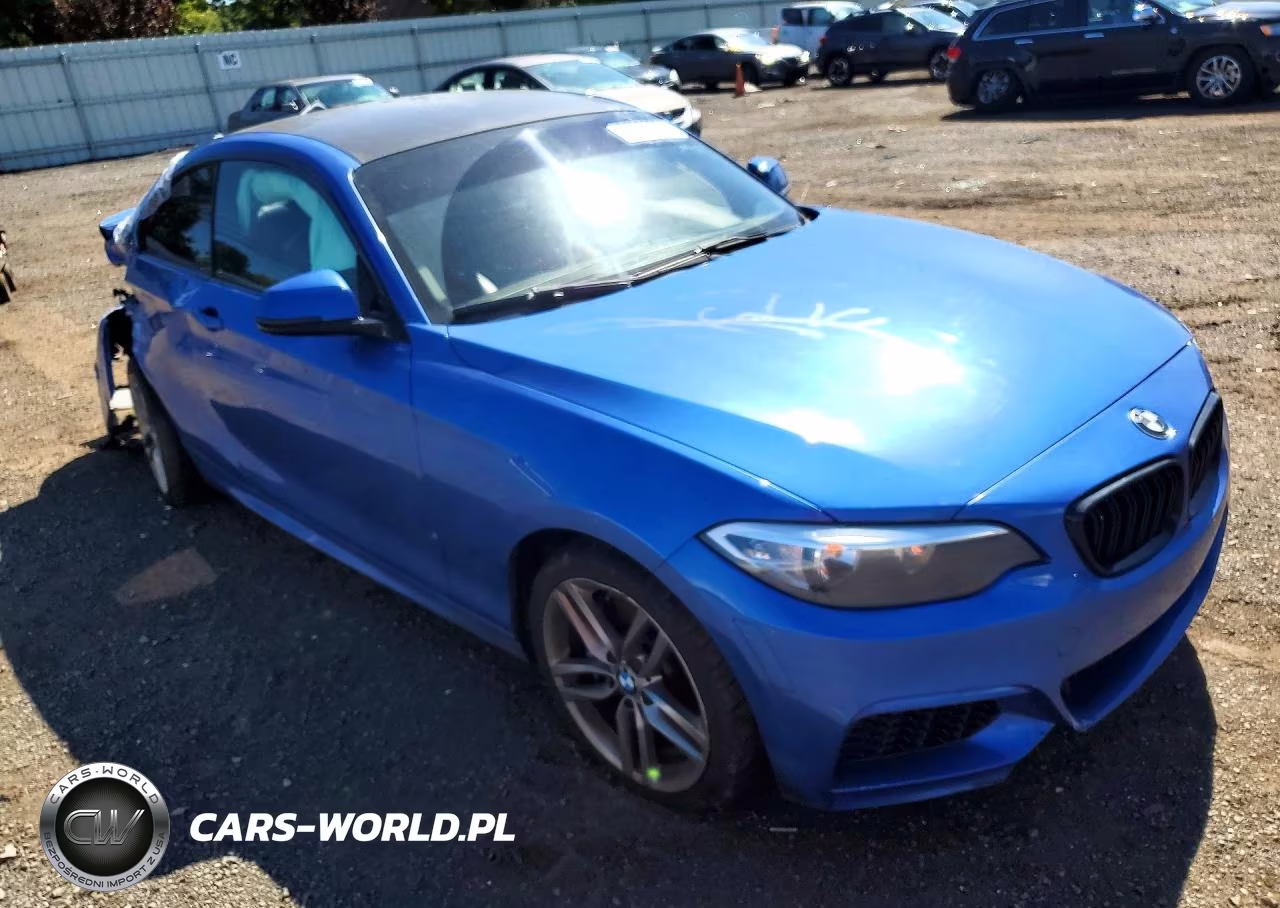 2015 BMW 228 Xi Sulev VIN:WBA1G9C50FVX96804 - 4