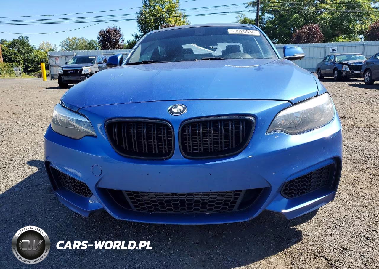 2015 BMW 228 Xi Sulev VIN:WBA1G9C50FVX96804 - 5