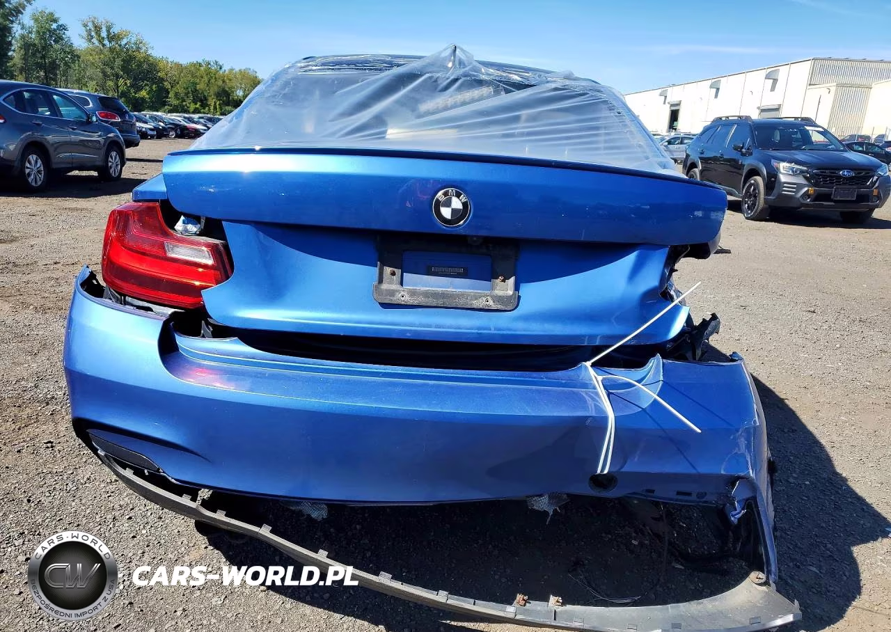 2015 BMW 228 Xi Sulev VIN:WBA1G9C50FVX96804 - 6