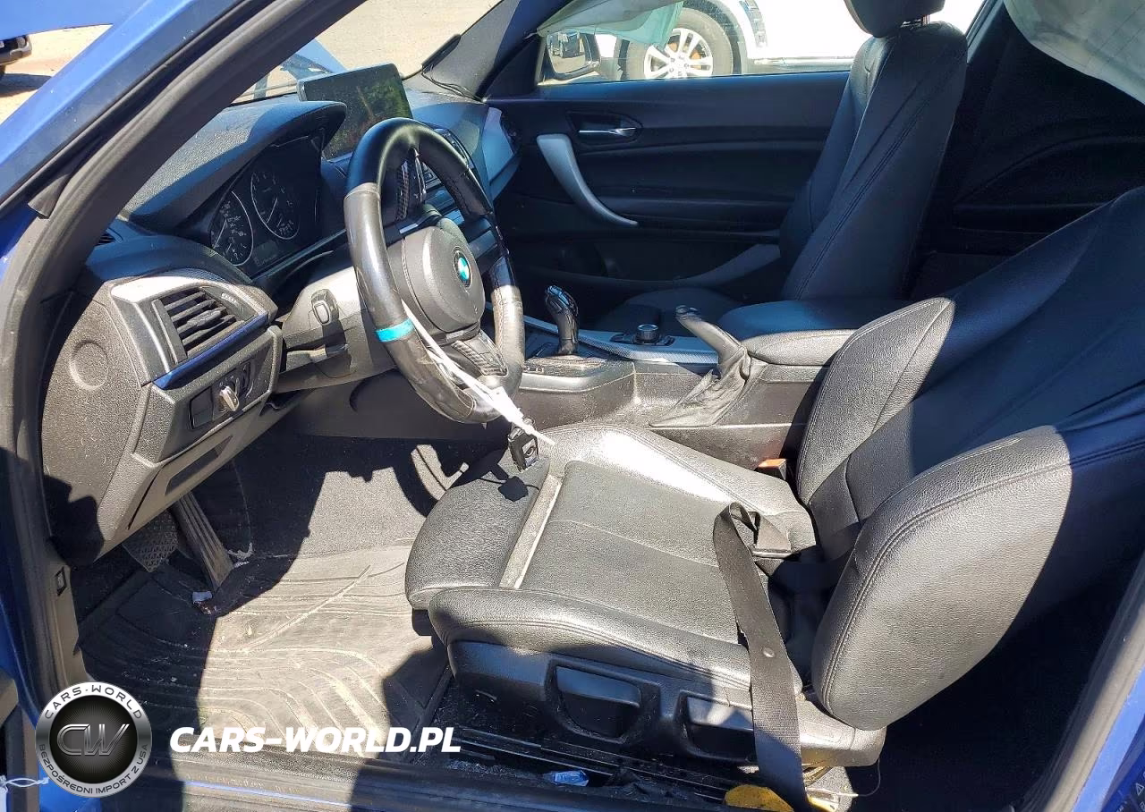 2015 BMW 228 Xi Sulev VIN:WBA1G9C50FVX96804 - 7