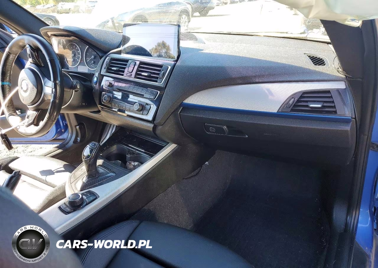 2015 BMW 228 Xi Sulev VIN:WBA1G9C50FVX96804 - 8